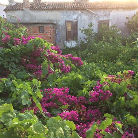 Parmis Rooms Çeşme Eksteriør billede