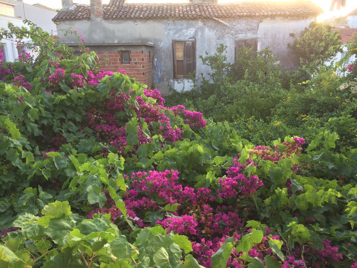 Parmis Rooms Çeşme Eksteriør billede
